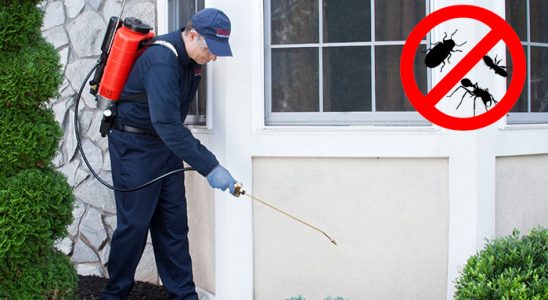 Dereli Dezenfeksiyon böcek ilaçlama ve haşere kontrolü — ilaclama-tr.com